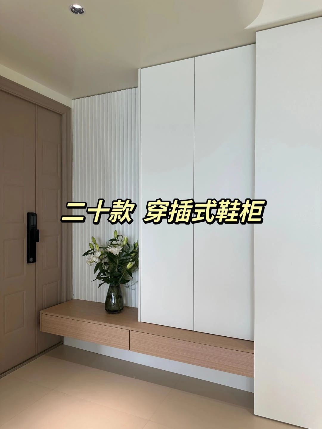 散布された靴のキャビネットの20例