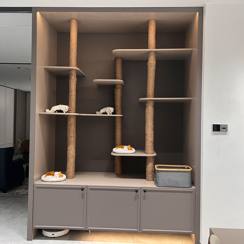 ペットスペースキャビネットが現代の家の選択肢になる理由は何ですか？